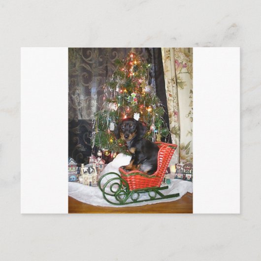 Cartes Pour Fêtes Annuelles Style Dachshund de Noël (Devant)