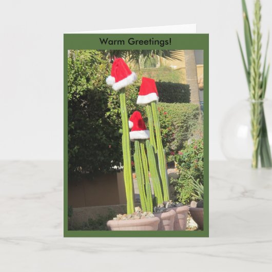 Cartes Pour Fêtes Annuelles Style de l'Arizona de Noël ! (Devant)