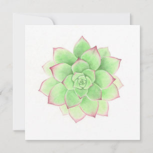 Cartes Pour Fêtes Annuelles Succulent - Oeuvre originale de Meghann Russell