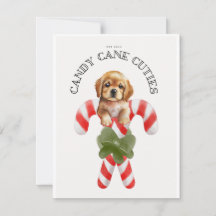 Sucre de canne Cuties Chien