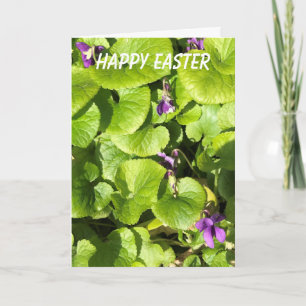 Cartes Pour Fêtes Annuelles Sucré Violets Pâques