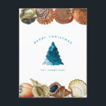 Cartes Pour Fêtes Annuelles Summer Christmas Beach Seashell Nom personnalisé<br><div class="desc">Un design de Noël côtier d'été unique en utilisant des vagues de plage pour remplir l'arbre de Noël et les coquillages comme la frontière. Idéal pour les cadeaux de Noël et la décoration. Customisez la carte postale de Noël avec votre texte et faites-la vous-même.</div>