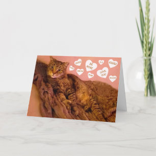 Cartes Pour Fêtes Annuelles Super Romantique Chat Drôle Saint Valentin