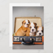Cartes Pour Fêtes Annuelles Superbes chiots Bulldog | AMOUREUX DES CHIENS (Devant / Derrière)