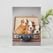 Cartes Pour Fêtes Annuelles Superbes chiots Bulldog | AMOUREUX DES CHIENS (Debout devant)