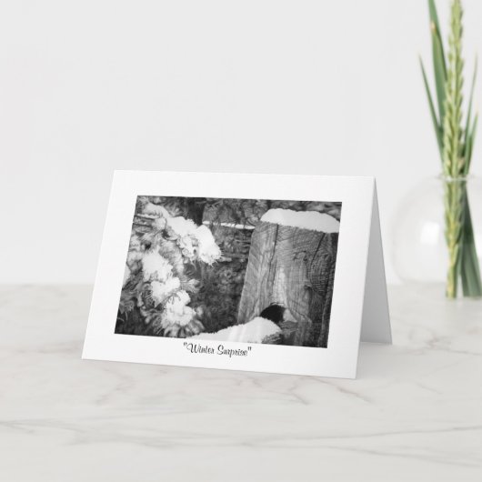 Cartes Pour Fêtes Annuelles "Surprise d'hiver " (Devant)