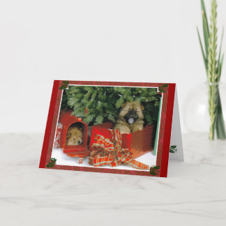 Cartes Pour Fêtes Annuelles Surprise Noël