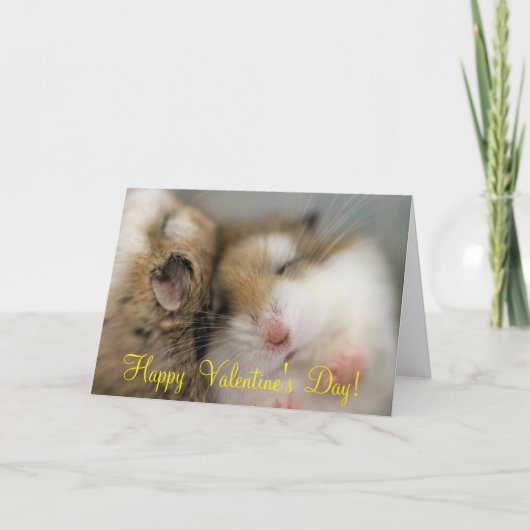 Cartes Pour Fêtes Annuelles Survolez la Saint Valentin de Bob (Devant)