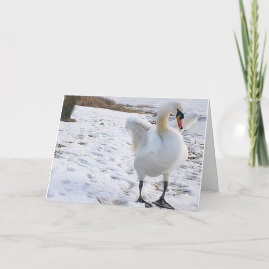 Cartes Pour Fêtes Annuelles Swan (Devant)