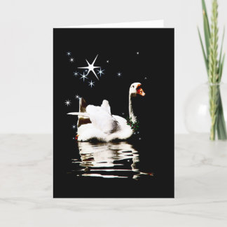 Cartes Pour Fêtes Annuelles Swan Starlight