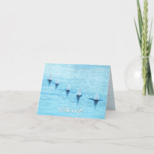 Cartes Pour Fêtes Annuelles Swans amusants Quoi de neuf Toute occasion vide