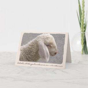 Cartes Pour Fêtes Annuelles Sweet Little Lamb Texte personnalisé Pâques/Printe