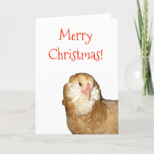 Cartes Pour Fêtes Annuelles Sweet Rare Wheaten Ameraucana Hen Joyeux Noël !