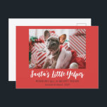 Cartes Pour Fêtes Annuelles Sympa Noël mignon animal de compagnie photo Rouge<br><div class="desc">Ces cartes postales de vacances drôles et mignonnes de 4, 25 po x 5, 6 po présentent une seule photo à fond saigné sur un arrière - plan rouge avec un double message de bienvenue,  "Père Noël Little Yelper",  en dessous,  "Wishing all a silence night."</div>