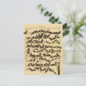 Cartes Pour Fêtes Annuelles Symphonie de chat par Moritz von Schwind (Debout devant)