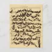 Cartes Pour Fêtes Annuelles Symphonie de chat par Moritz von Schwind (Devant)