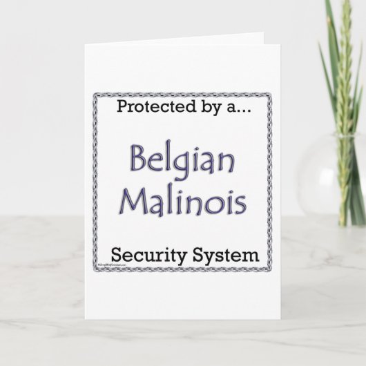 Cartes Pour Fêtes Annuelles Système de Sécurité Malinois (Devant)