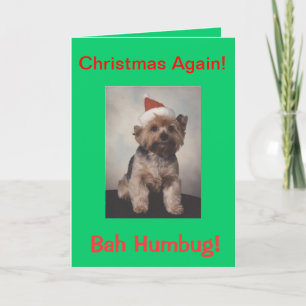 Cartes Pour Fêtes Annuelles T-shirt Bah Humbug doggie