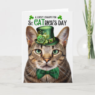 Cartes Pour Fêtes Annuelles Tabby Brown Chat St CATrick's Day Charmant