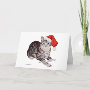 Cartes Pour Fêtes Annuelles Tabby Chat américain Shorthair - Noël
