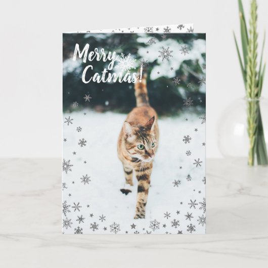 Cartes Pour Fêtes Annuelles Tabby de Noël Cute Chat dans la neige (Devant)
