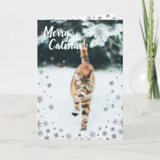 Cartes Pour Fêtes Annuelles Tabby de Noël Cute Chat dans la neige