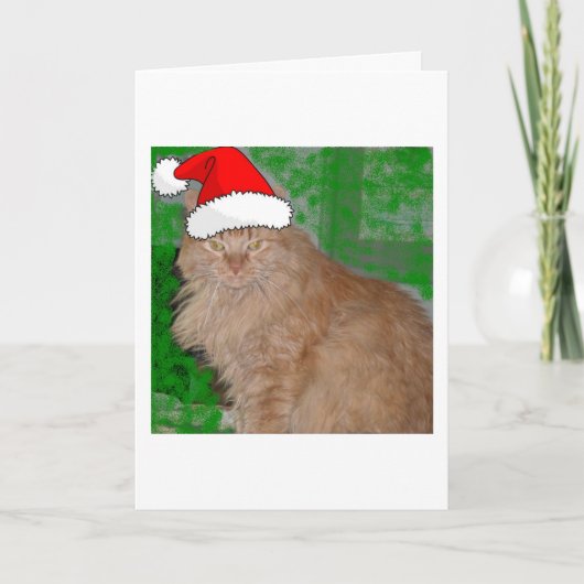 Cartes Pour Fêtes Annuelles Tabby de Noël Orange Kitty Chat (Devant)