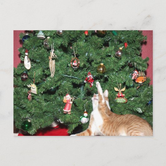 Cartes Pour Fêtes Annuelles Tabby et sapin de Noël (Devant)