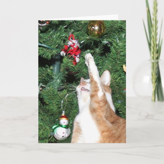 Cartes Pour Fêtes Annuelles Tabby et sapin de Noël (Devant)