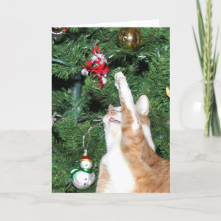 Cartes Pour Fêtes Annuelles Tabby et sapin de Noël