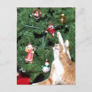 Cartes Pour Fêtes Annuelles Tabby et sapin de Noël