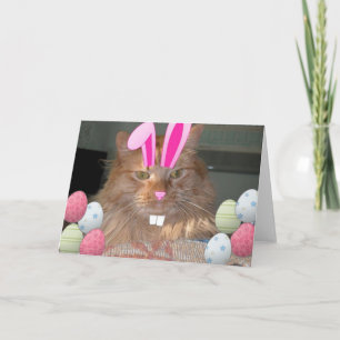 Cartes Pour Fêtes Annuelles Tabby-Kitty Chat de Pâques