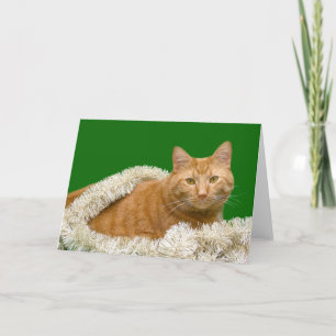 Cartes Pour Fêtes Annuelles Tabby orange Noël