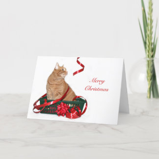 Cartes Pour Fêtes Annuelles Tabby orange Noël