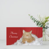 Cartes Pour Fêtes Annuelles Tabby orange Noël (Debout devant)