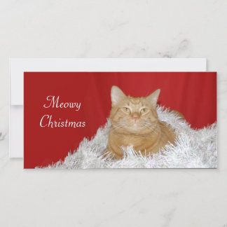 Cartes Pour Fêtes Annuelles Tabby orange Noël