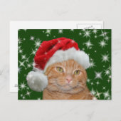 Cartes Pour Fêtes Annuelles Tabby orange Père Noël (Devant / Derrière)