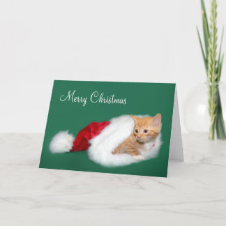 Cartes Pour Fêtes Annuelles Tabby orange Santa hat