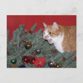 Cartes Pour Fêtes Annuelles Tabby sapin de Noël