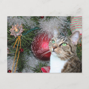 Cartes Pour Fêtes Annuelles Table Brown avec Noël blanc