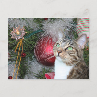 Cartes Pour Fêtes Annuelles Table Brown avec Noël blanc