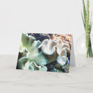 Cartes Pour Fêtes Annuelles Tabouret en cuir corail