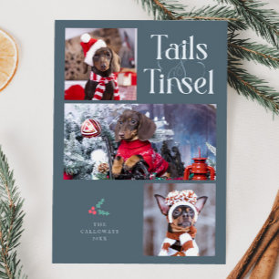 Cartes Pour Fêtes Annuelles Tails & Tinsel Chien Photo Ardoise Bleu Noël