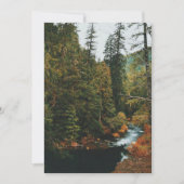 Cartes Pour Fêtes Annuelles Tamolitch Falls (piscine bleue) (Devant)