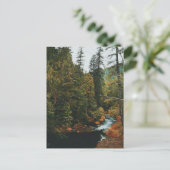 Cartes Pour Fêtes Annuelles Tamolitch Falls (piscine bleue) (Debout devant)