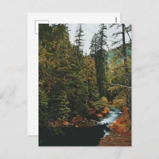 Cartes Pour Fêtes Annuelles Tamolitch Falls (piscine bleue) (Devant / Derrière)