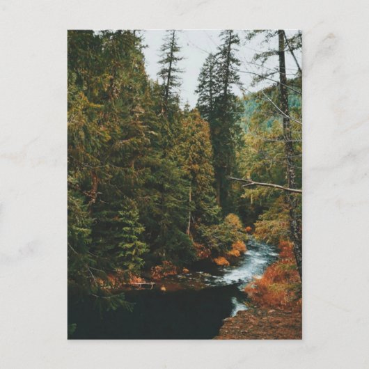 Cartes Pour Fêtes Annuelles Tamolitch Falls (piscine bleue) (Devant)