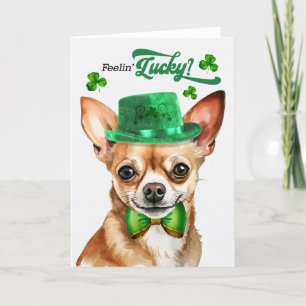 Cartes Pour Fêtes Annuelles Tan Chihuahua Chien Feelin' Lucky St Patrick's Day