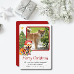 Cartes Pour Fêtes Annuelles Tan Shiba Inu et Noël Arbre animal de compagnie Ch<br><div class="desc">Cette mignonne carte de Noël à thème Shiba Inu présente un Shiba bronzé portant un chapeau de Père Noël assis devant un sapin éclairé. La salutation sur la carte dit "Joyeux Noël", le message dit "Nous espérons que votre période de fêtes est très extraordinaire !" et enfin il y a...</div>