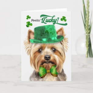 Cartes Pour Fêtes Annuelles Teacup Yorkie Dog Feelin' Lucky St Patrick's Day